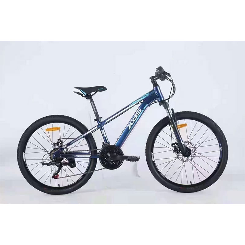 XDS/喜德盛喜德盛中国风超轻减震青少年单车