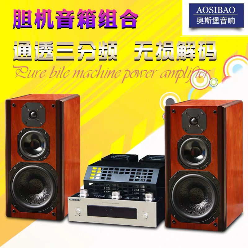 发烧8寸胆机音箱组合电子管hifi功放机音响套装 无损蓝牙5.0家用