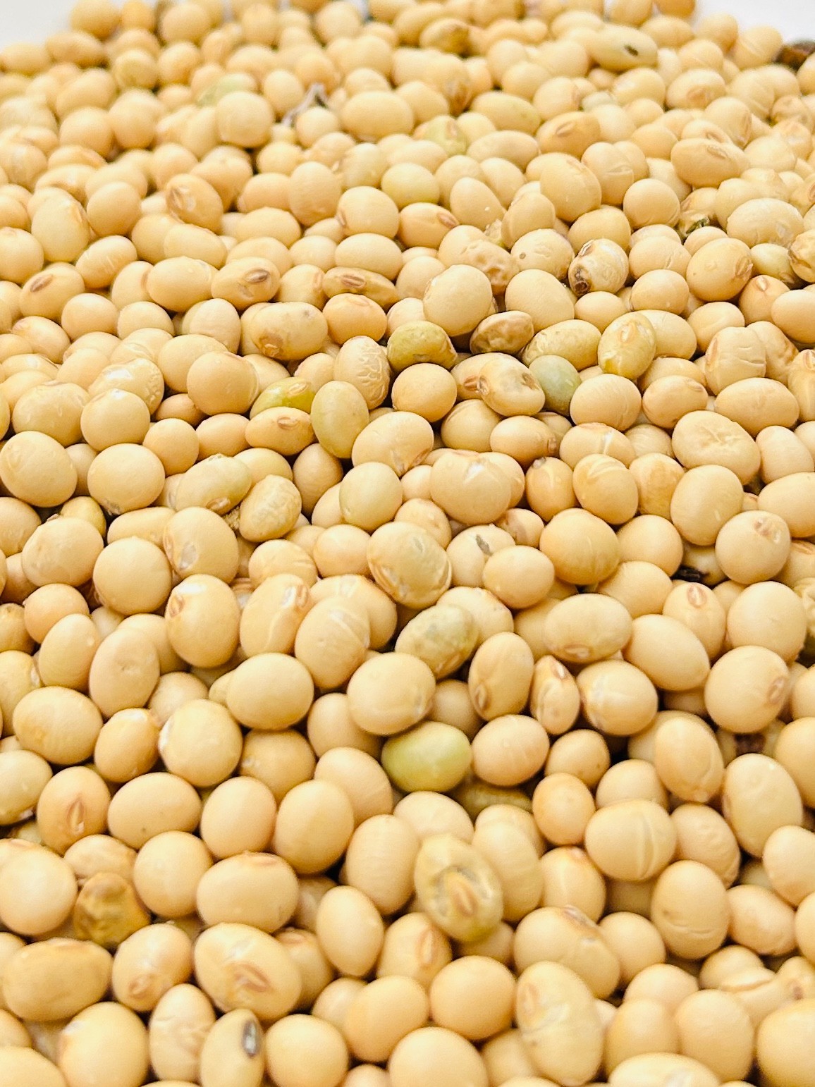 云哥农村土特产散装现场称重