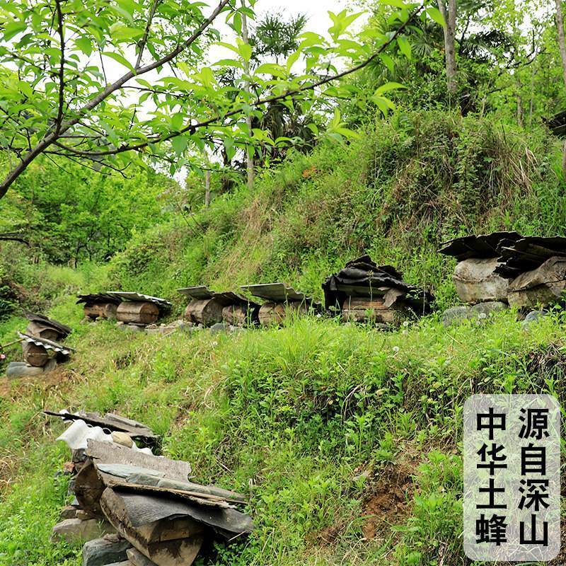 正宗大山结晶土蜂蜜自产农家蜂蜜正蜜糖养蜂农天然正宗峰野生蜜源