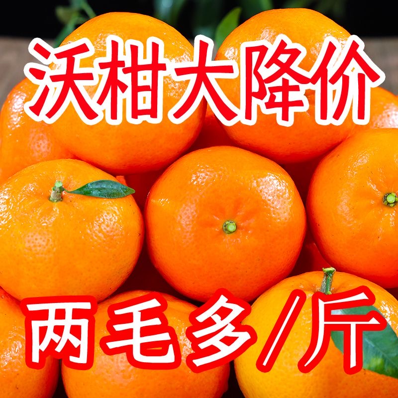 【爆甜多汁】沃柑正宗新鲜广西武鸣桔子贵妃柑橘新鲜水果橘子整箱
