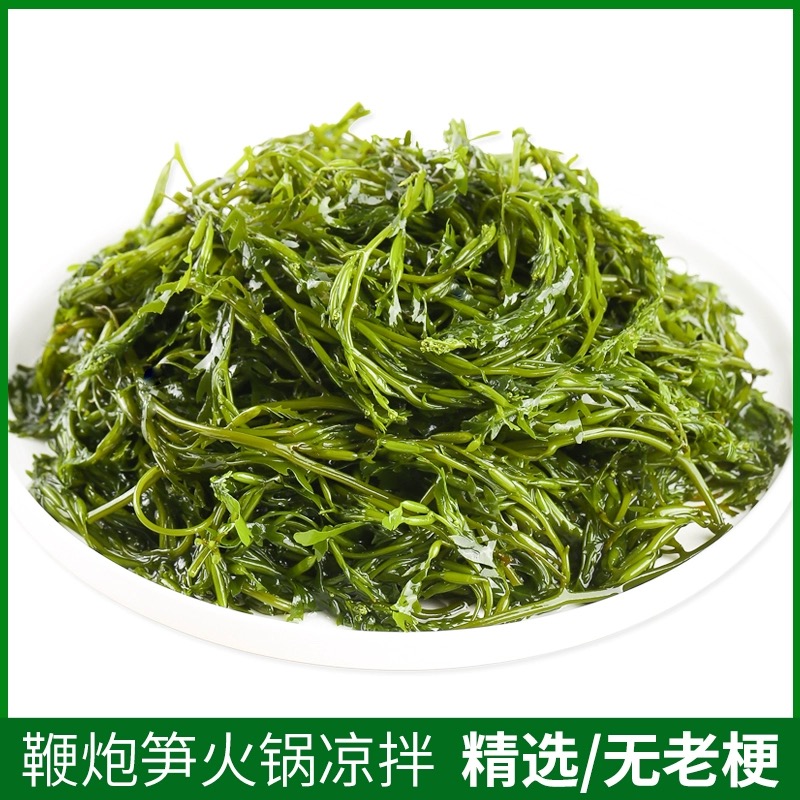 新鲜盐渍马尾藻鞭炮笋海藻长寿菜火锅凉拌串串麻辣烫食材500克/包