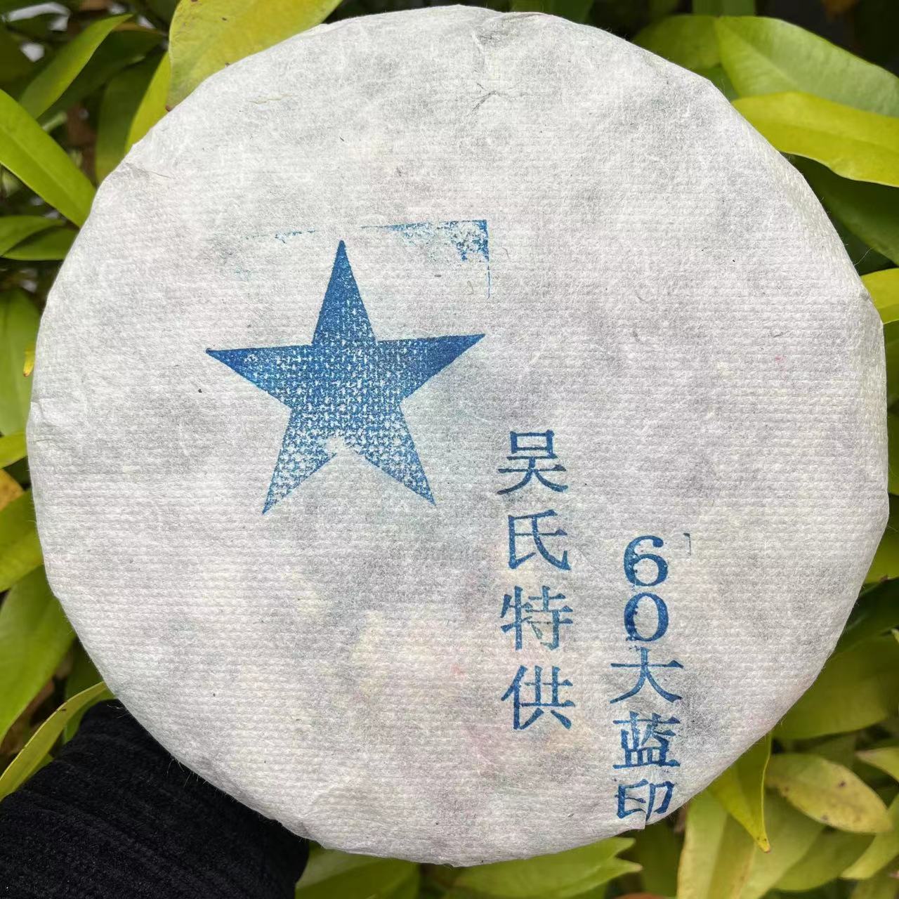 雨腾古茶 吴氏特供蓝星60大蓝印古树普洱茶357g/饼 生茶