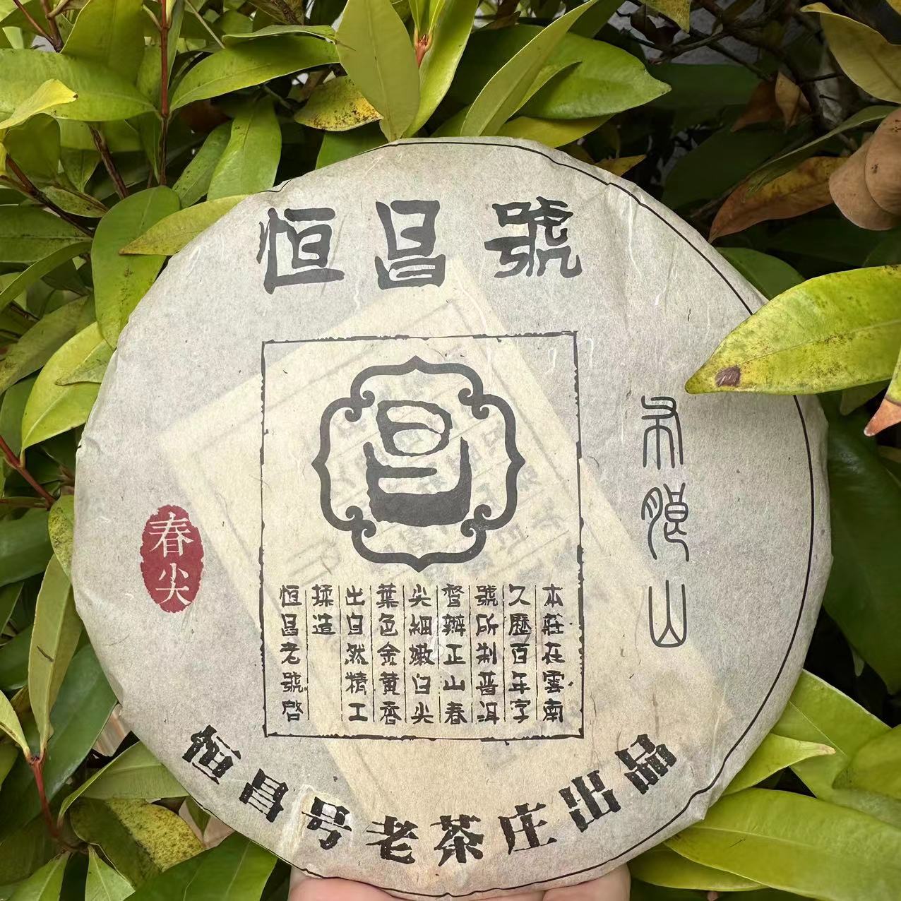 雨腾古茶  恒昌號布朗山春尖古树普洱茶357g/饼 生茶