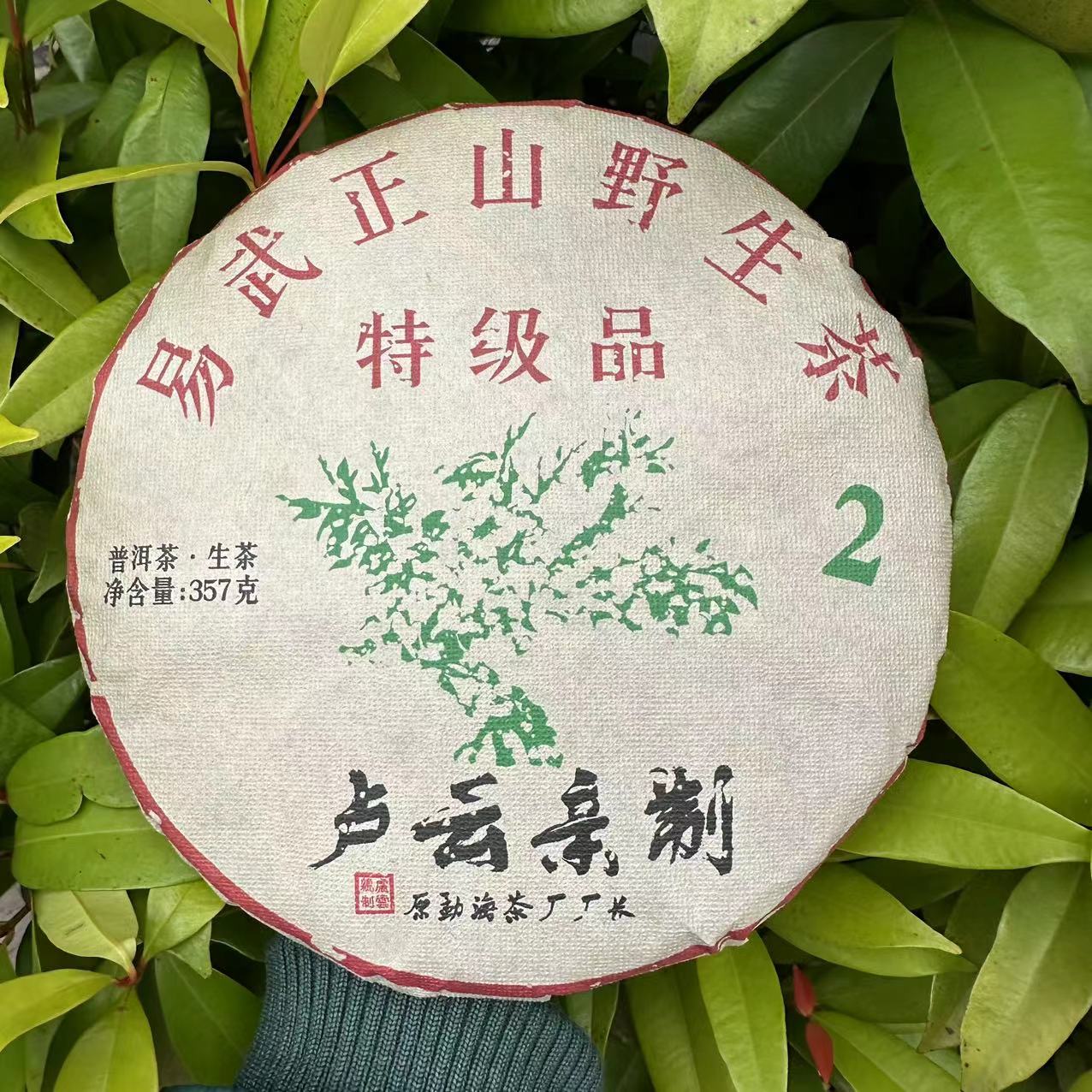 雨腾古茶 LY亲制易武正山野生茶特级品绿2古树普洱茶357g/饼 生茶