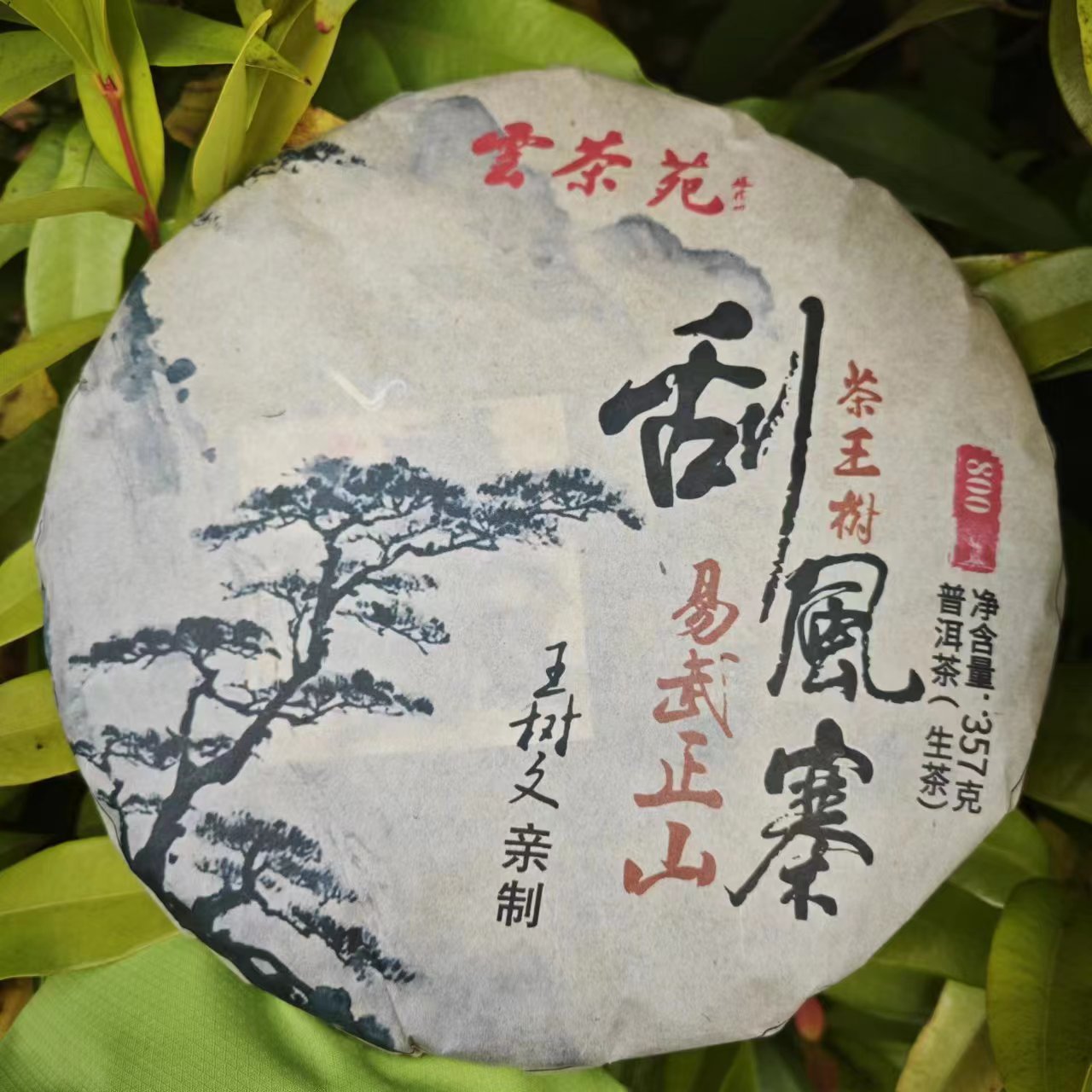 雨腾古茶 雲茶苑易武正山刮风寨茶王树古树普洱茶357g/饼 生茶