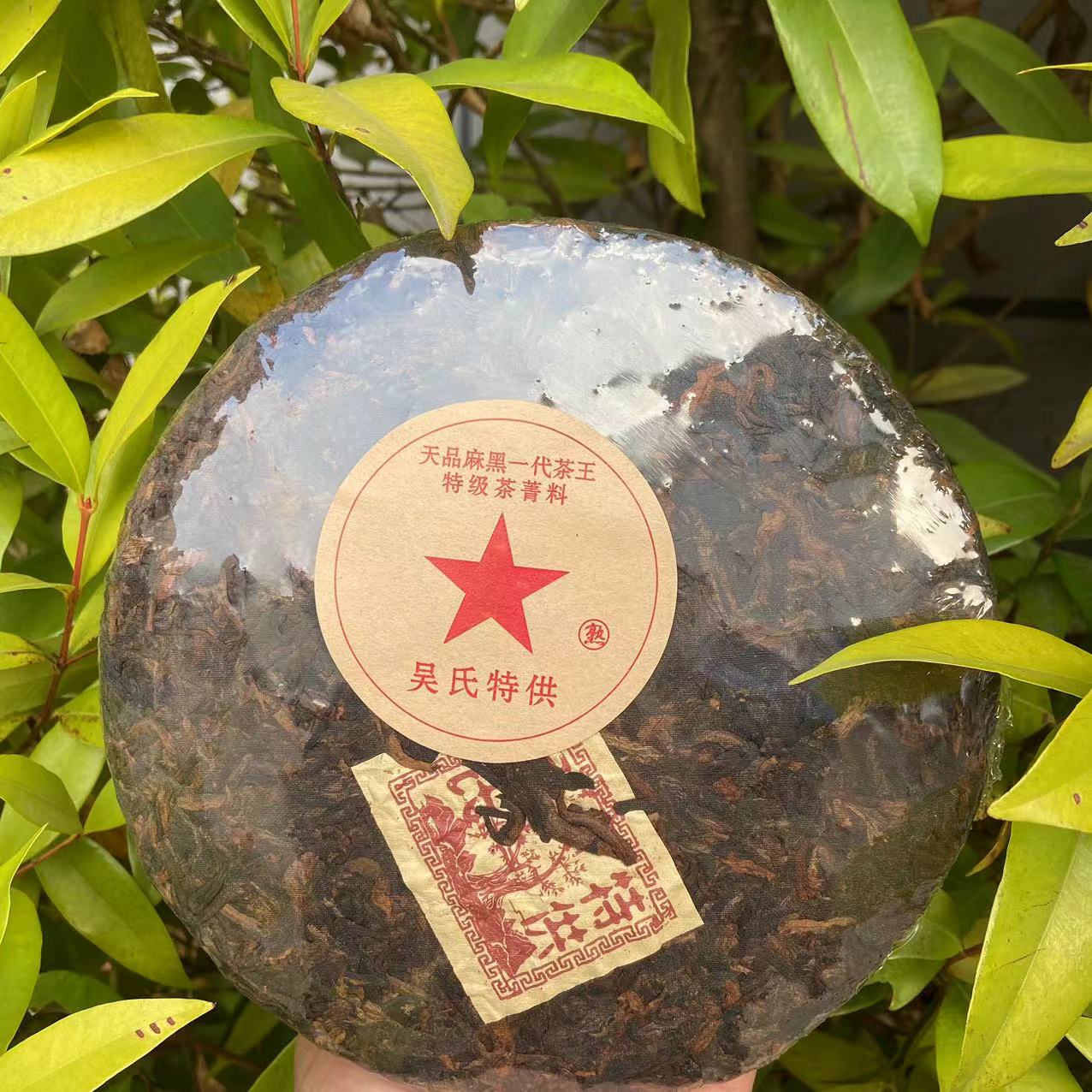 雨腾古茶 吴氏特供红星天品麻黑茶王茶菁料古树普洱茶357g/饼熟普