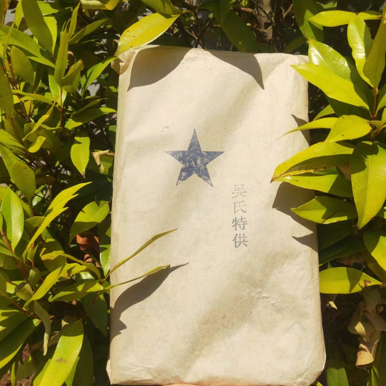 雨腾古茶 白棉纸蓝星吴氏特供古树白茶888g/砖
