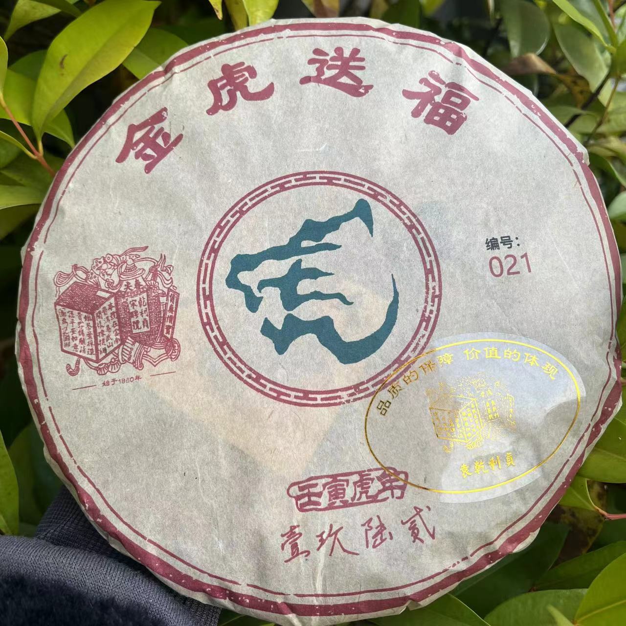 雨腾古茶 YQLZ1962年虎年纪念饼金虎送福古树普洱茶357g/饼 生茶