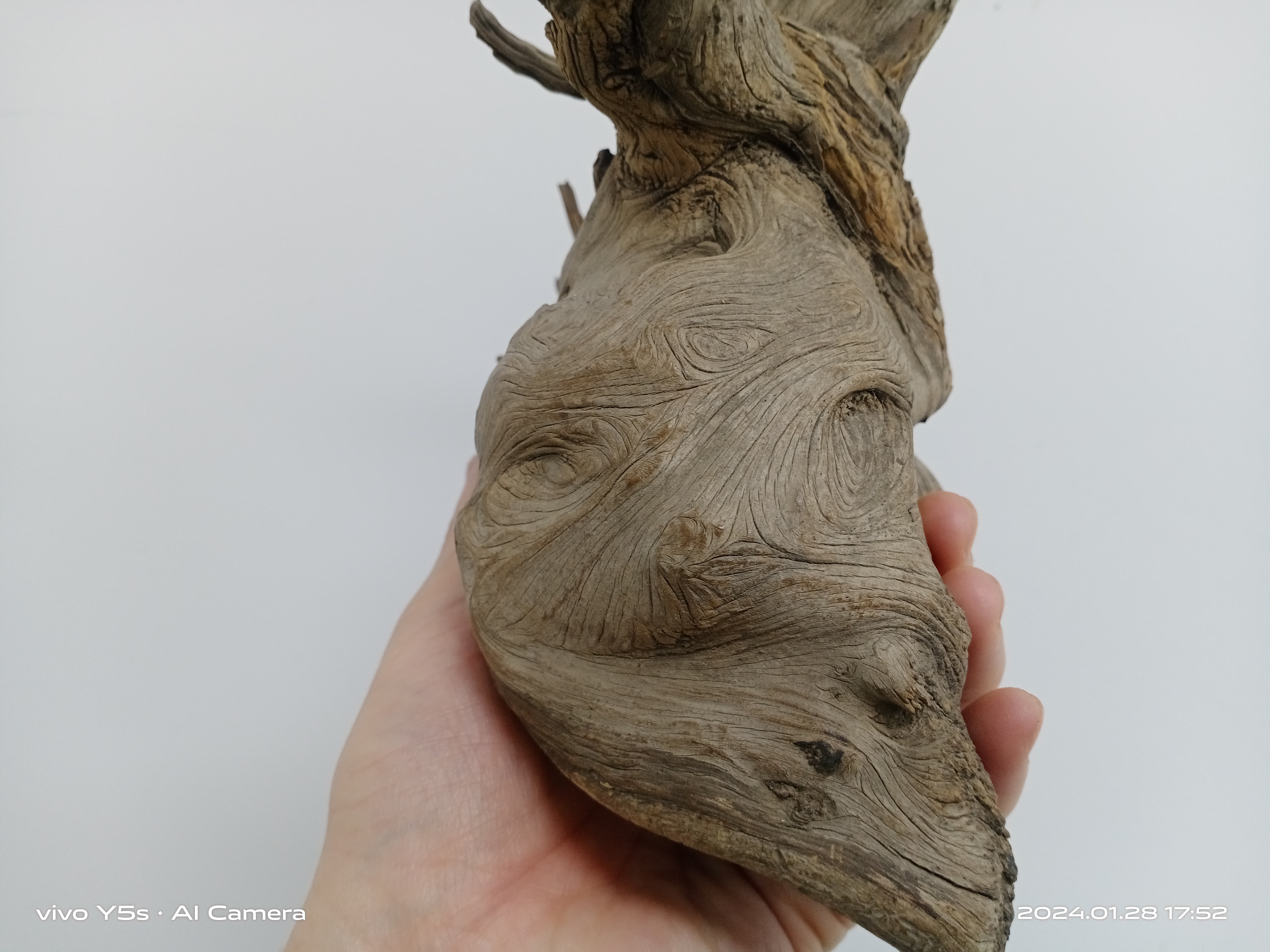 太行崖柏摆件链接图