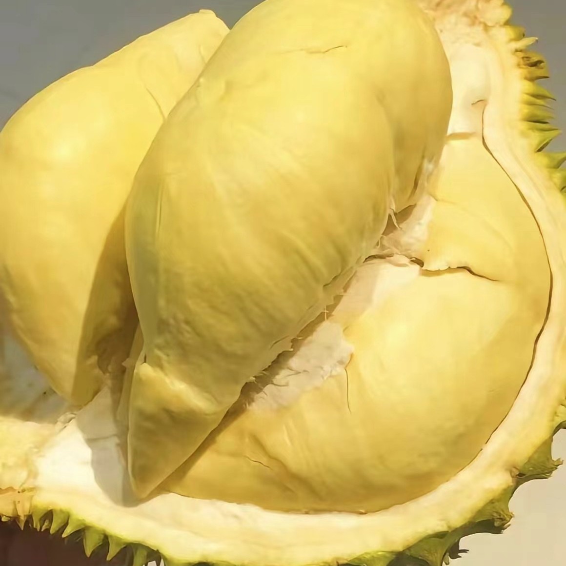 2【昆明同城小时达】泰国树熟金枕现剥榴莲肉168/元1000g
