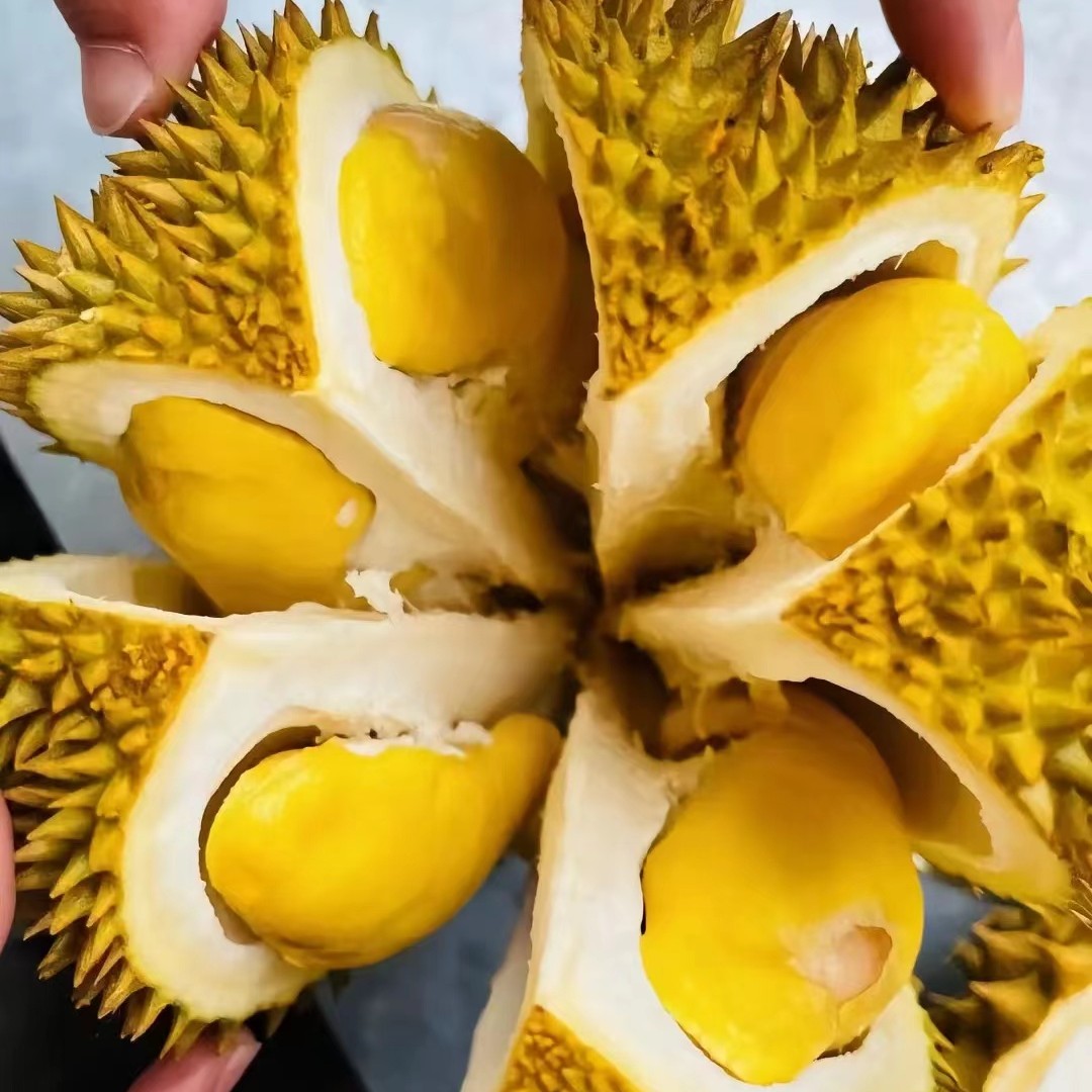 1【昆明同城小时达】泰国树熟金枕现剥果肉88/斤
