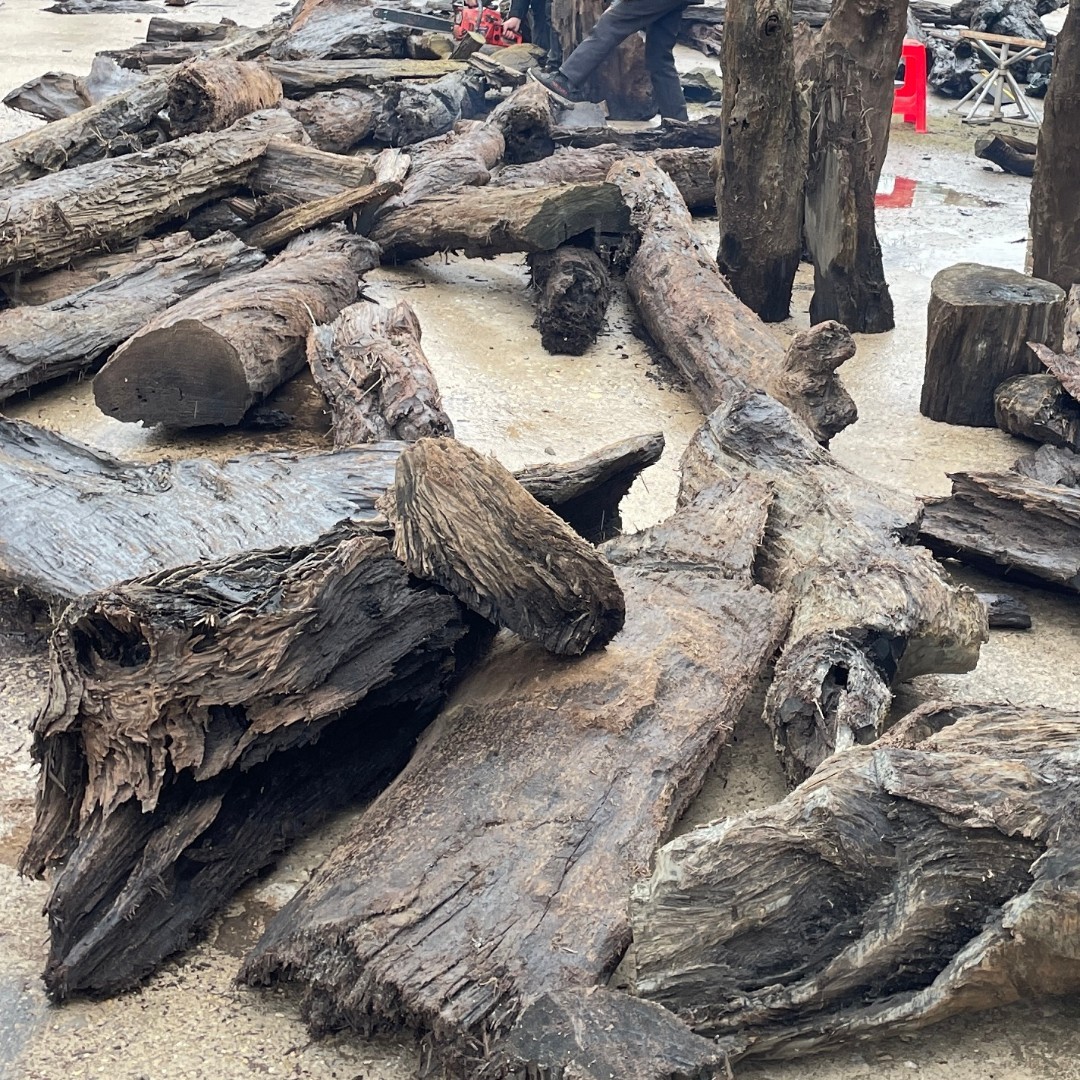 室内精美手工树桩