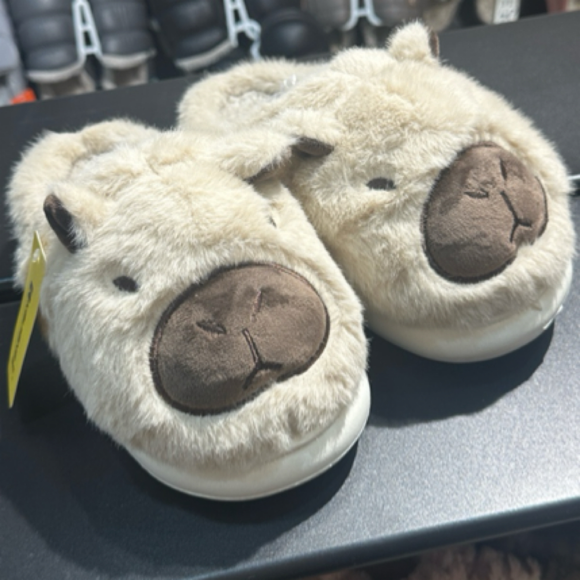 2024成人新款网红卡皮巴拉卡通家居棉拖鞋