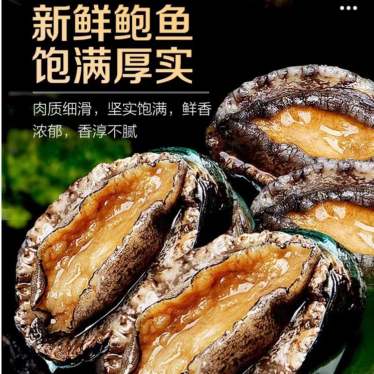 【虾小呆】 福州发货 鲜活大鲍鱼 两斤起