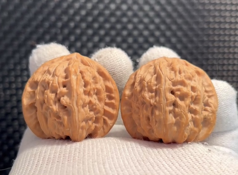 盘山，白狮子，蛤蟆，灯，三菱核桃