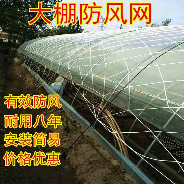 大棚防风网销售固定尼龙压膜网草垛网集装箱防丢货封车网大棚网
