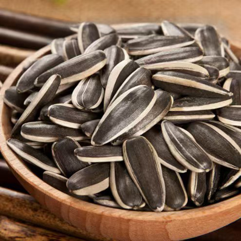 【熟瓜子】内蒙古河套葵花籽2024新货精选中颗粒原味瓜子休闲食品