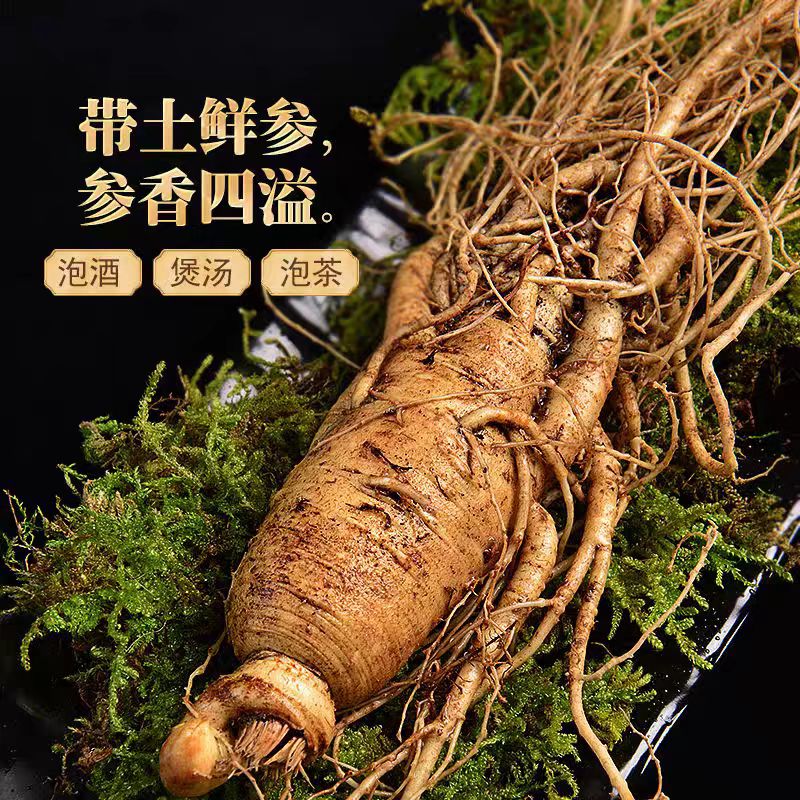 产地现挖鲜人参足年大人参【单支40-50克】送种子