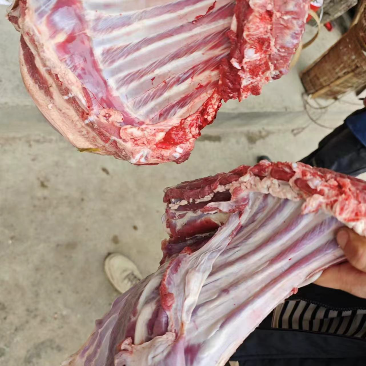 羊妹家现杀羊肉称重.后退