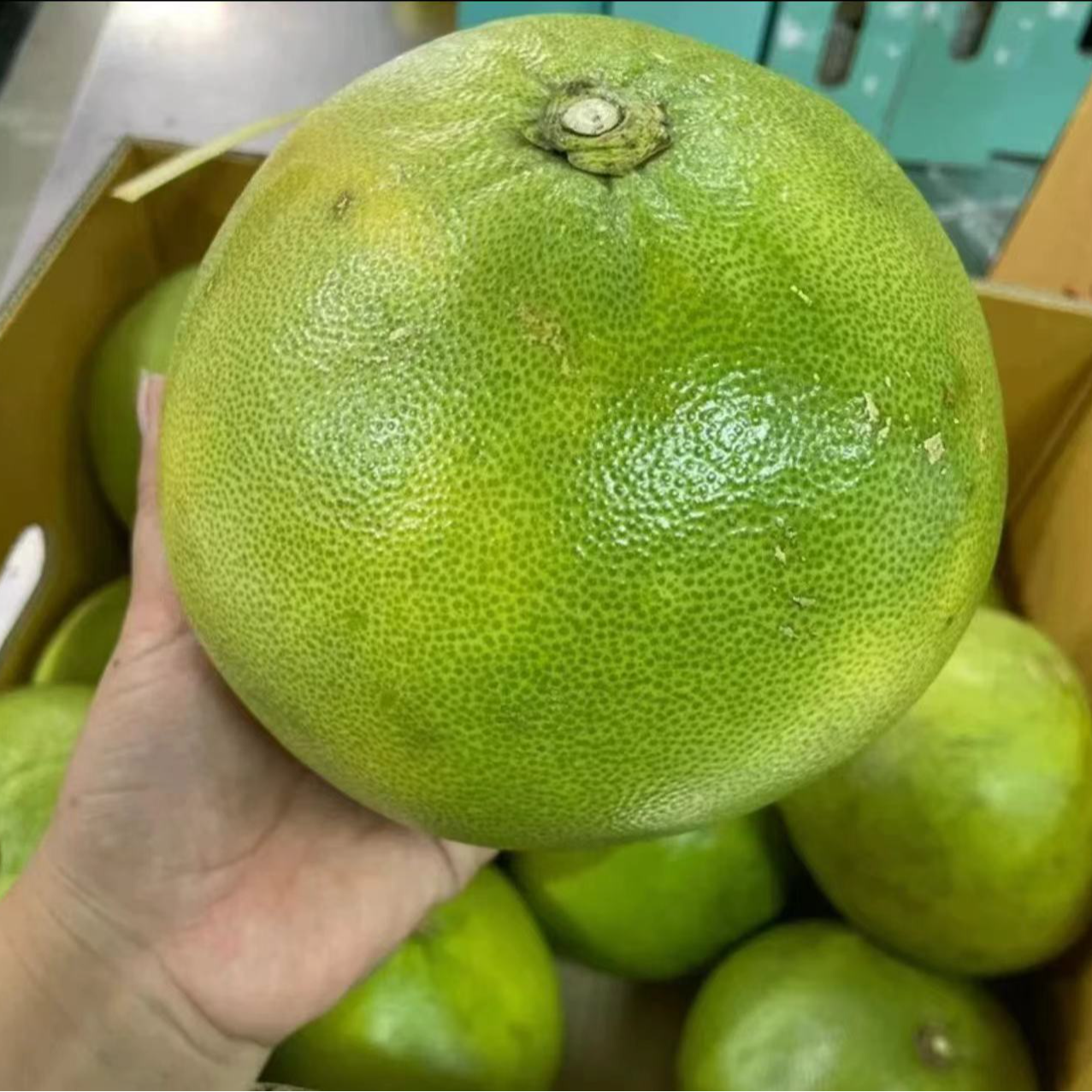 柚子尝鲜一个【福】