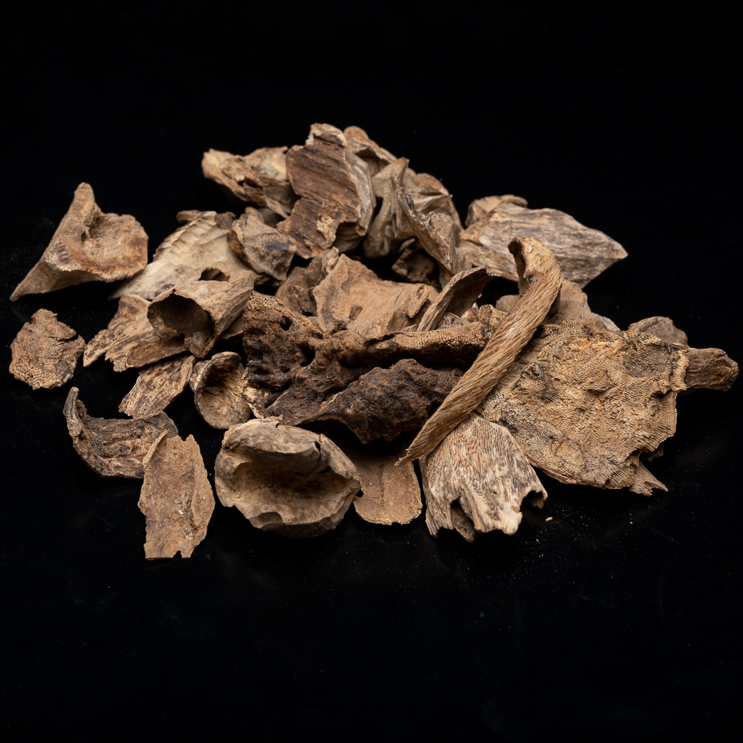 【悟空沉香】越南芽庄 包壳料 多样性发其中10g