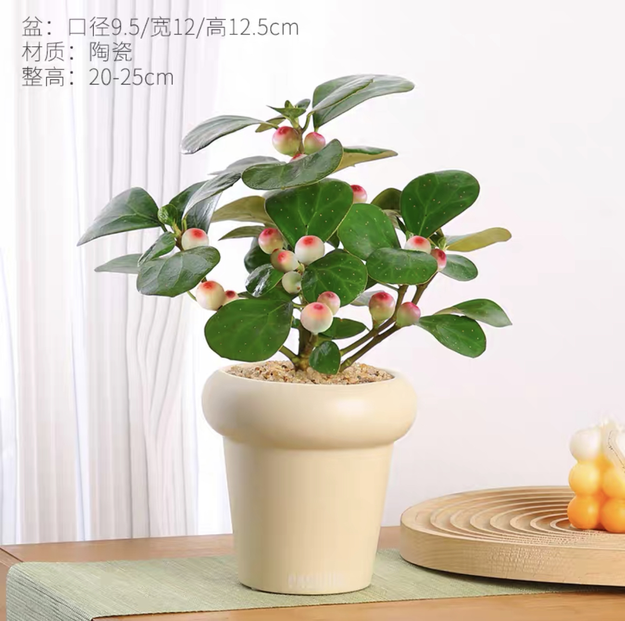 小盼菩提树盆栽带果发货植物办公室内花客厅桌面好养绿植四季常青