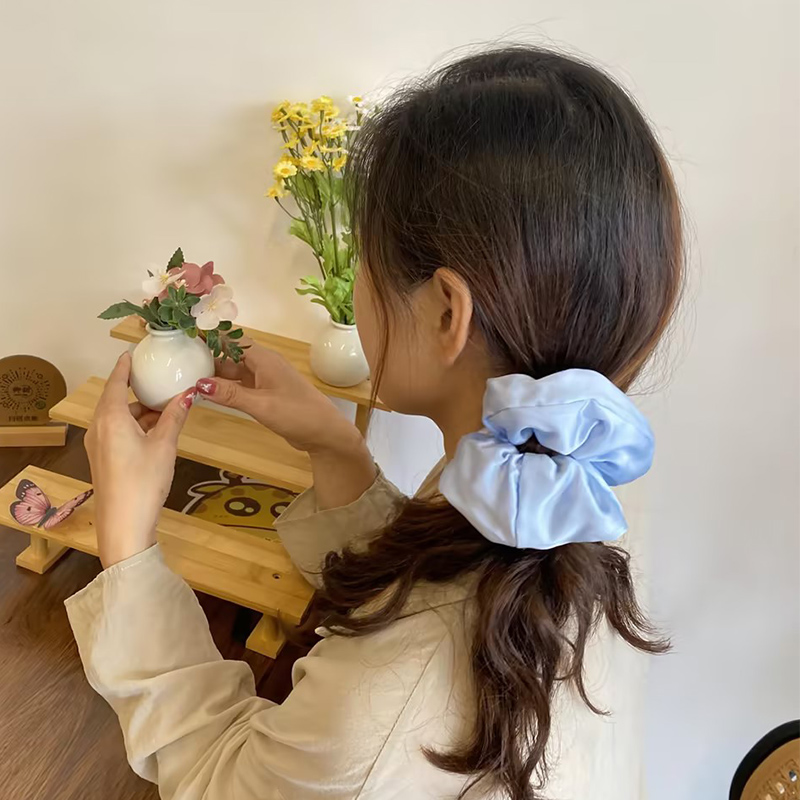 真丝大肠睡眠发圈100%桑蚕丝.30姆米缎面丝滑光泽填充蚕丝棉8厘米