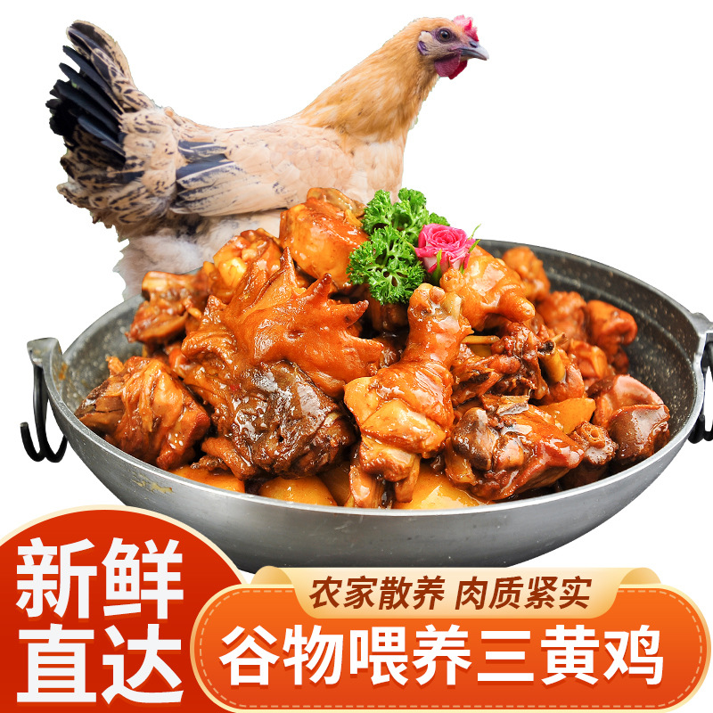 【四海迷购】新鲜走地鸡跑山鸡整只农家散养鸡去内脏净腔冷链3只装