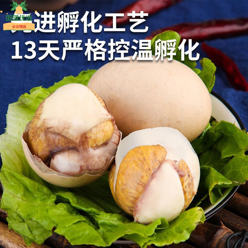 WH毛蛋鸡胚活蛋珠子香辣口味新鲜13天钢化蛋枚凤凰蛋喜蛋包邮