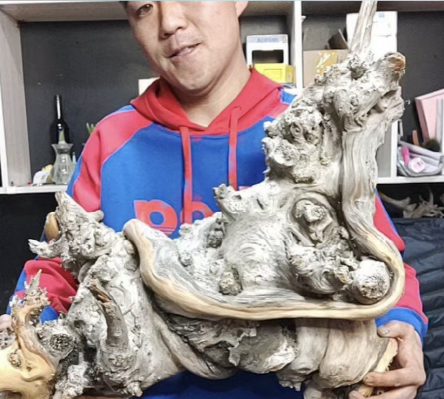 太行侧柏文玩摆件2