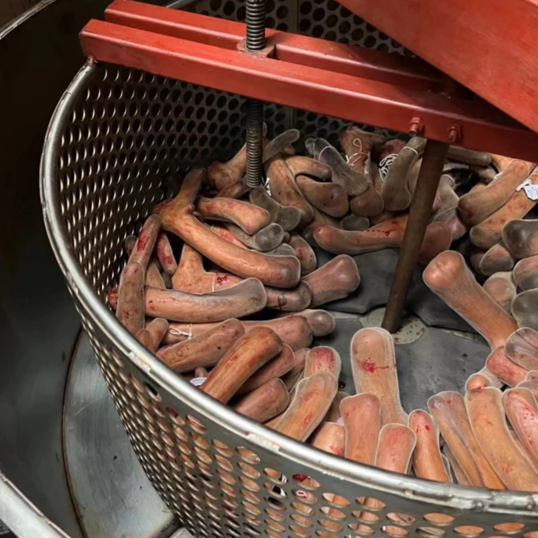 东北特产鲜鹿茸   红 