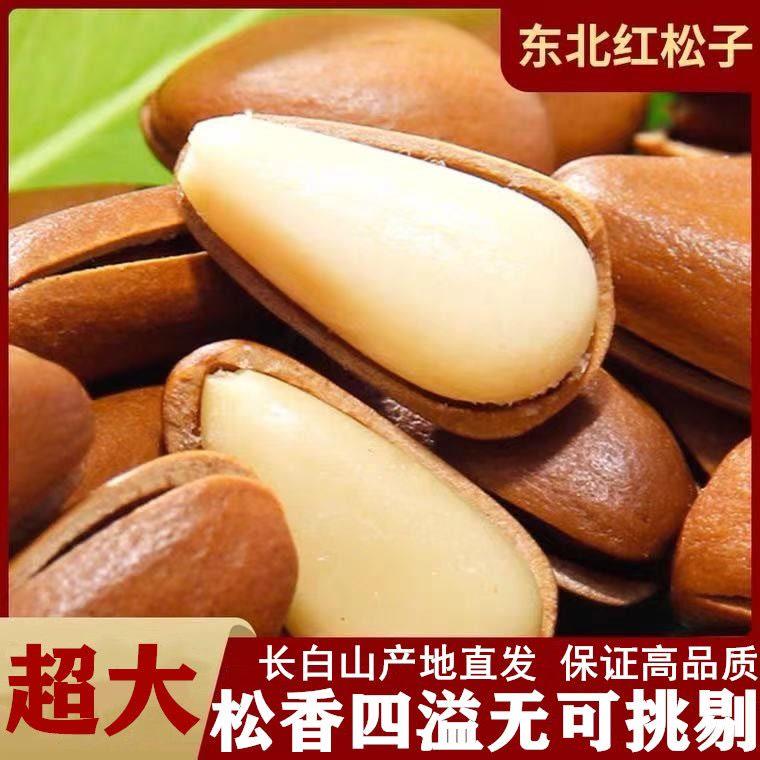 新货开口松子长白山大颗粒原味500g手剥坚果东北零食