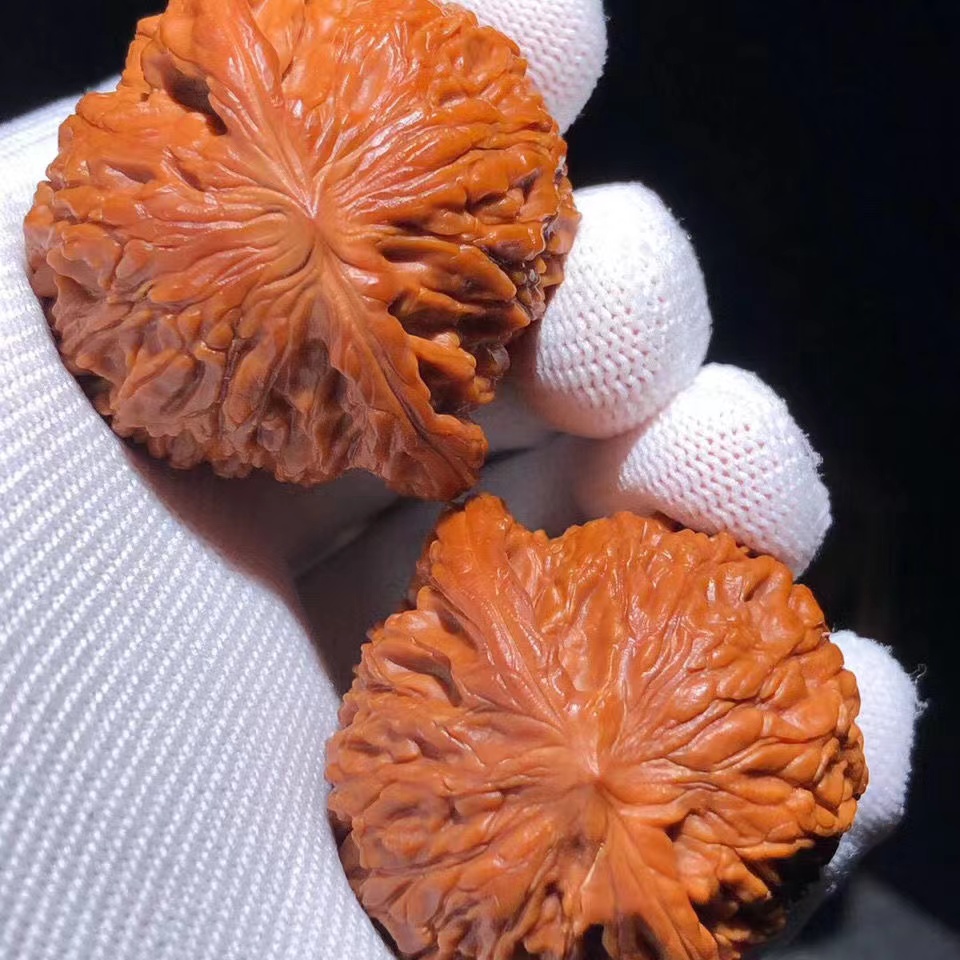 文玩核桃磨盘白狮子南瓜墩蛤蟆头