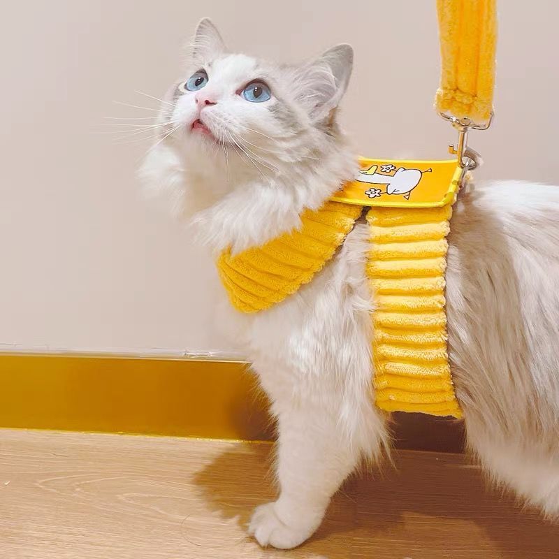猫咪防挣脱牵引绳猫绳子遛猫绳猫胸背绳兔子幼猫链子可调节溜猫绳