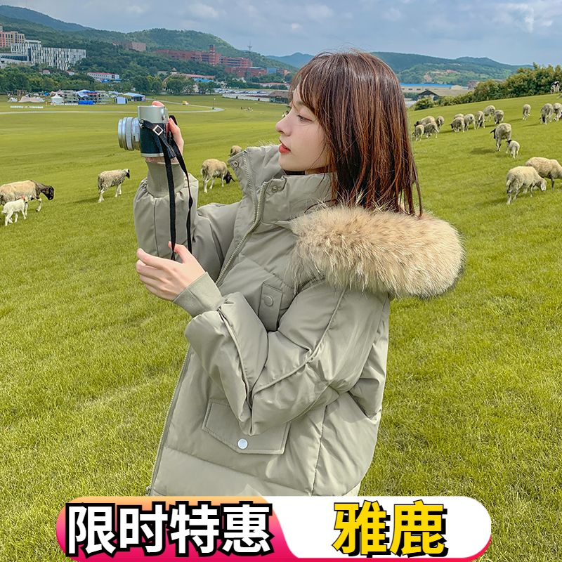 雅鹿羽绒服女短款冬季加厚2023新款韩版宽松ins学生面包服羽绒服