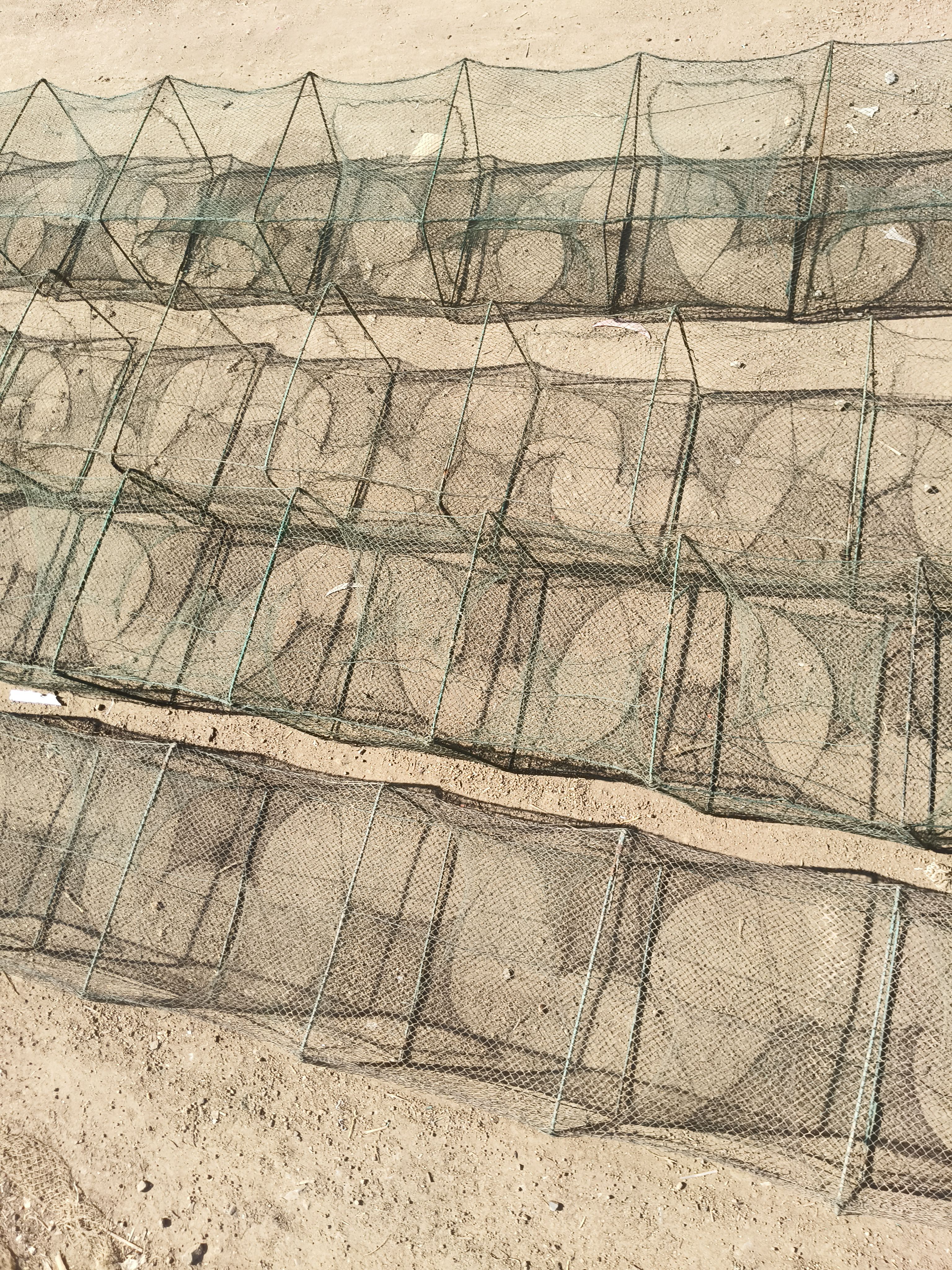 6条鱼笼 龙虾螃蟹鱼笼