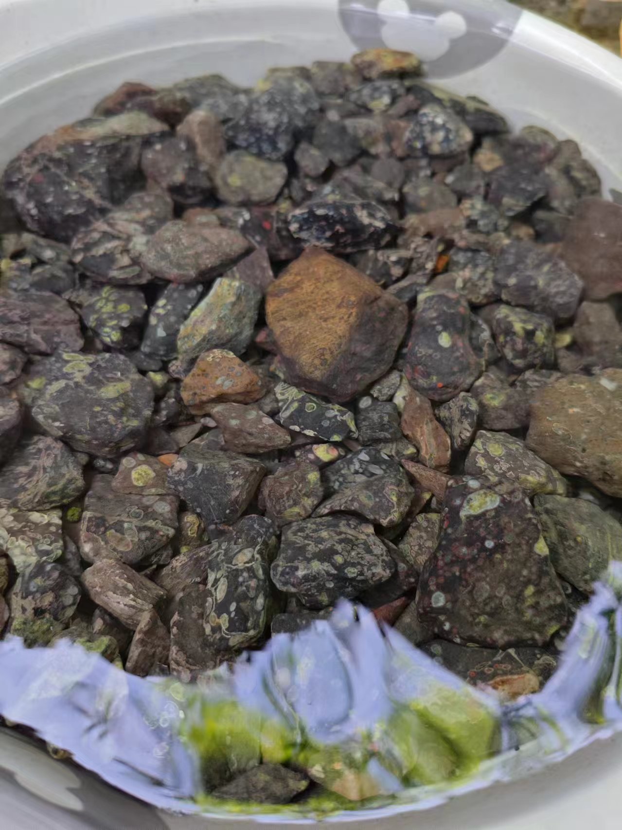 茶周边汝石底砂石头梅花石黑色梅花玉鱼缸石造景石随机发货