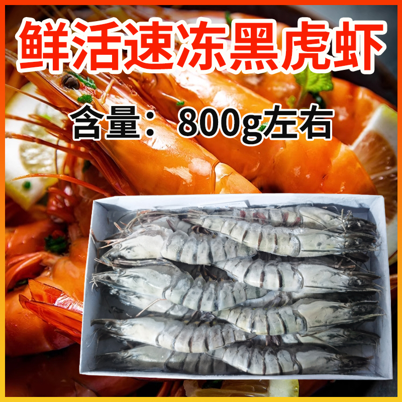 礼盒装黑虎虾 800g左右 黑虎虾鲜活速冻 新鲜大虾老虎虾 大斑节虾