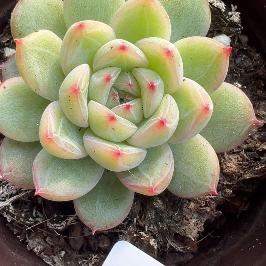 哈哈哈哈哈12-043