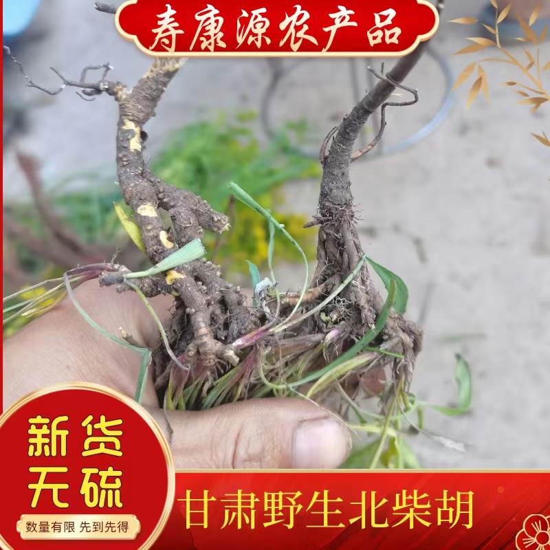 甘肃野生北柴胡  黑柴胡  小柴胡  250 克包邮无硫无添加