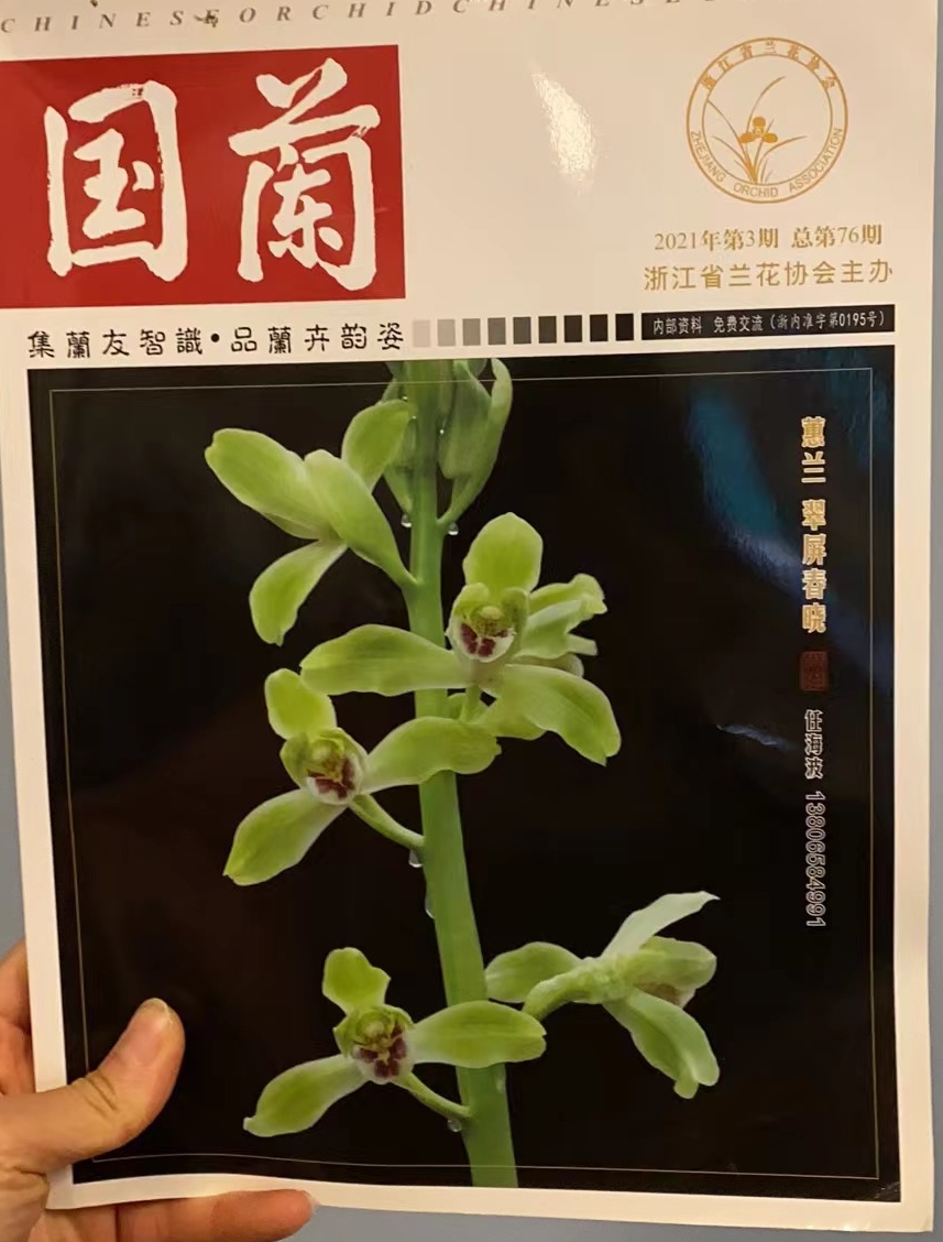 书籍