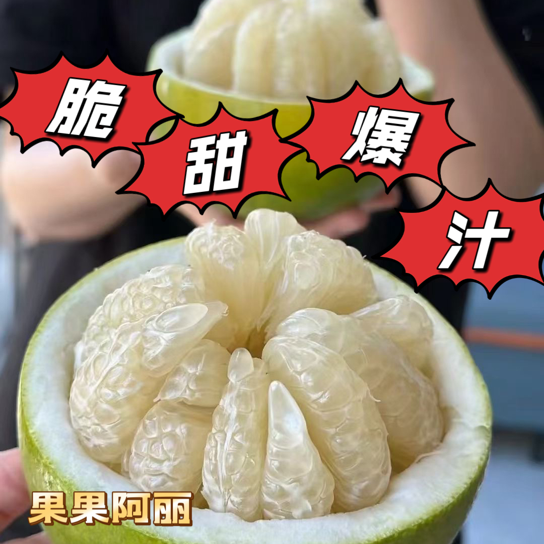 正宗安江雪峰冰糖柚湖南怀化小苦柚安福金兰柚老树新鲜水果小柚子