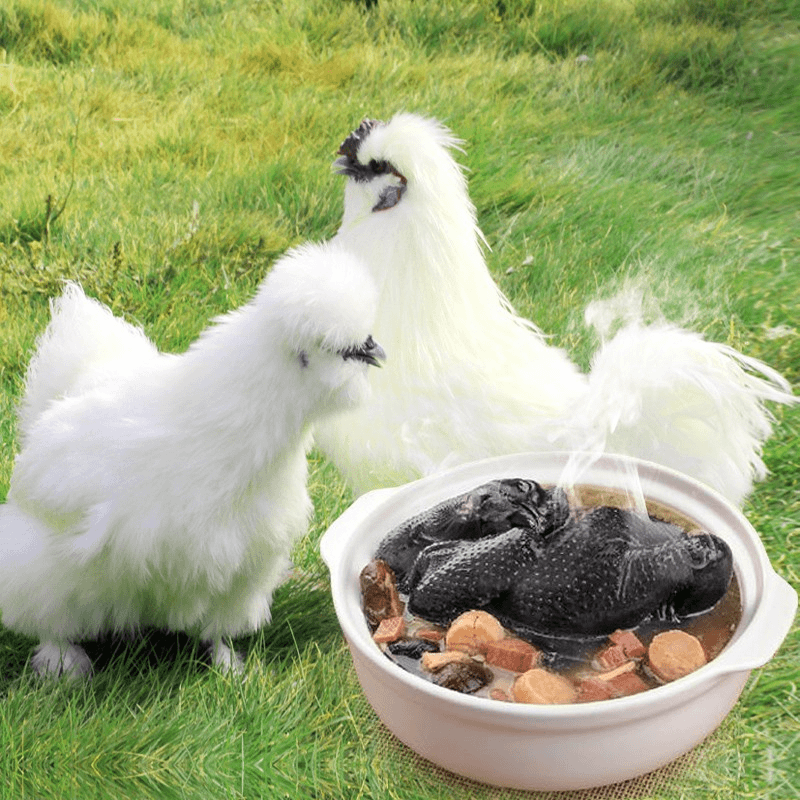 农家散养五谷杂粮喂养煲汤顺丰冷链包邮