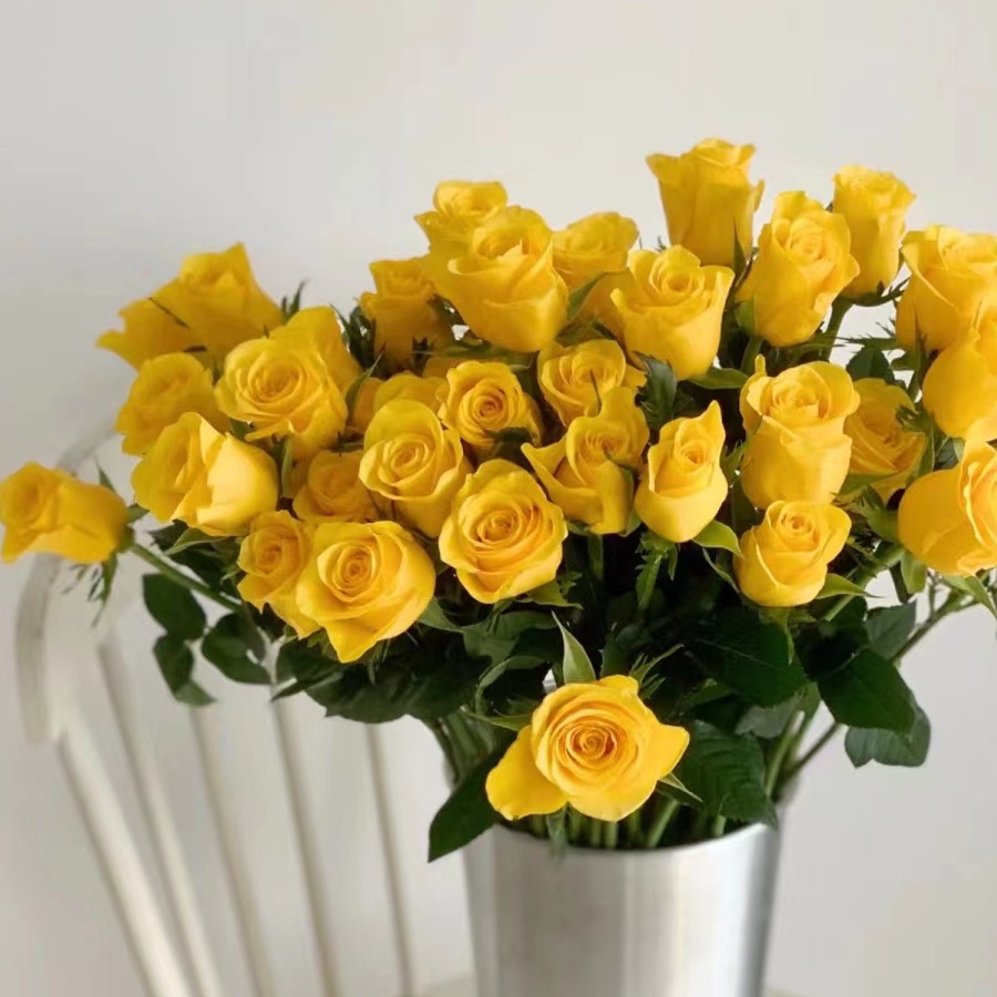 金枝玉叶玫瑰家养云南鲜切花高级感批发真花家用水养瓶插室内新娘