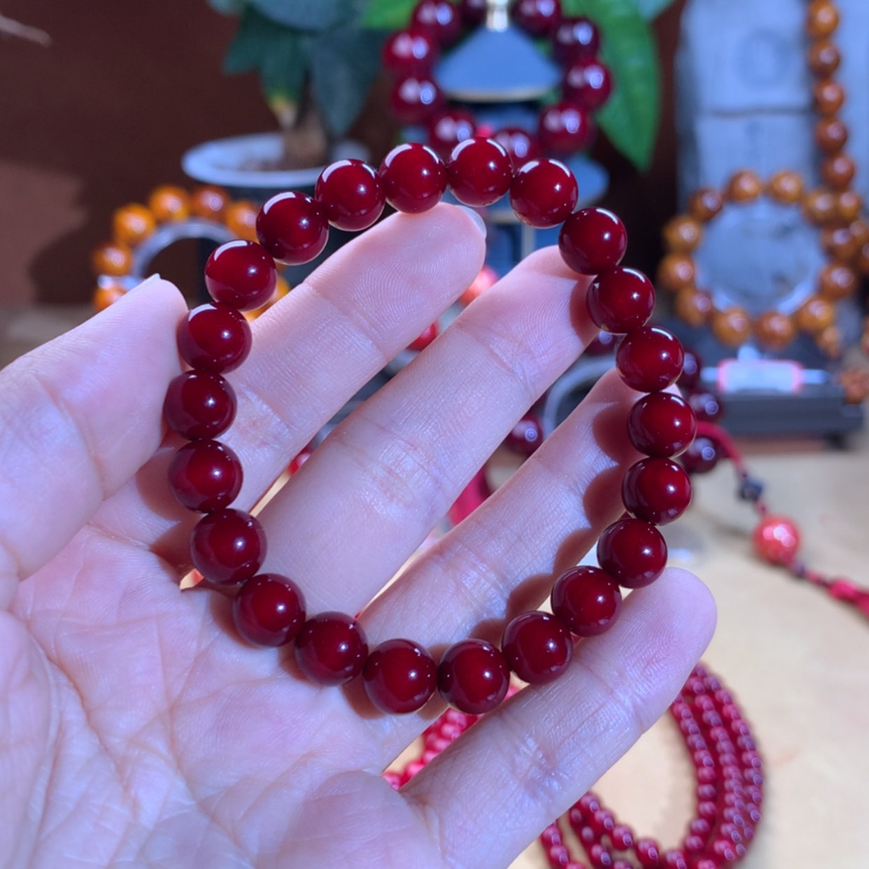 【闪购商品】血龙木（贝壳杉）手串/手链0.8