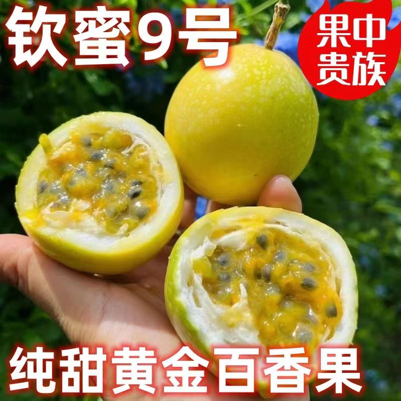 【20个】钦蜜9号黄金百香果纯甜无酸新鲜现摘应季孕妇水果包邮