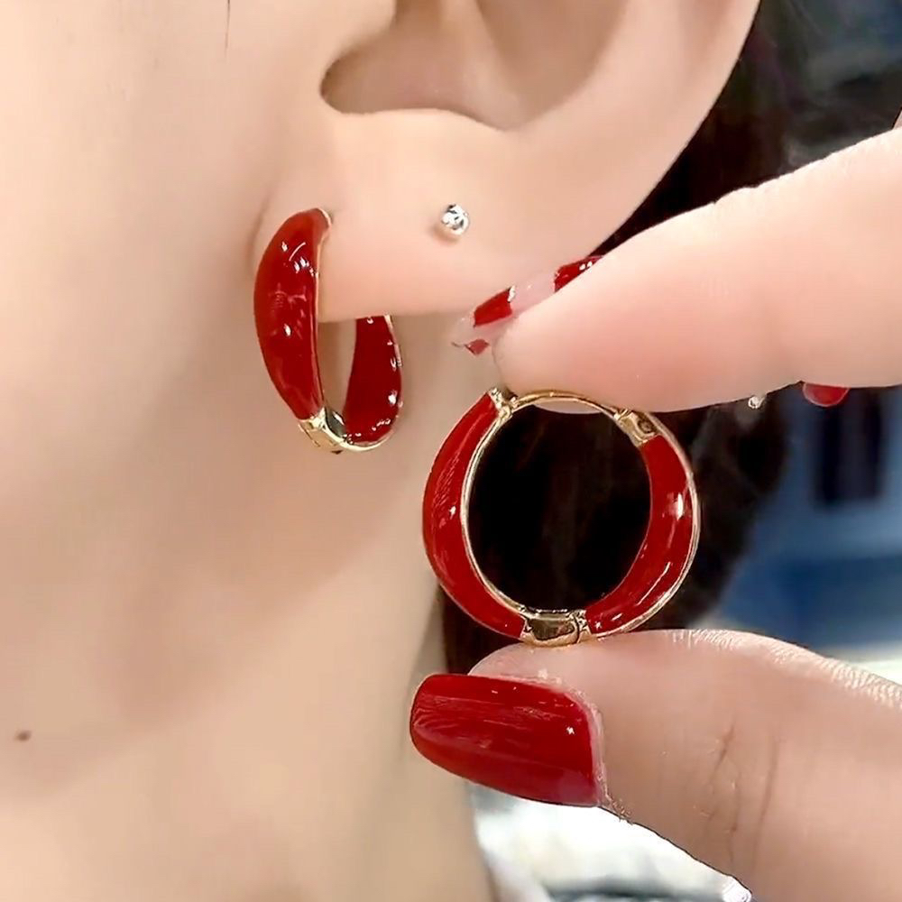 铜合金耳饰 高级感小众设计轻奢耳圈女2024年新款潮爆款秋冬耳扣