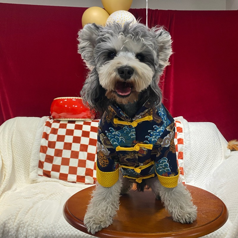 过年喜庆加绒棉衣复古雪纳瑞战袍加厚保暖金毛拉布拉多宠物棉袄