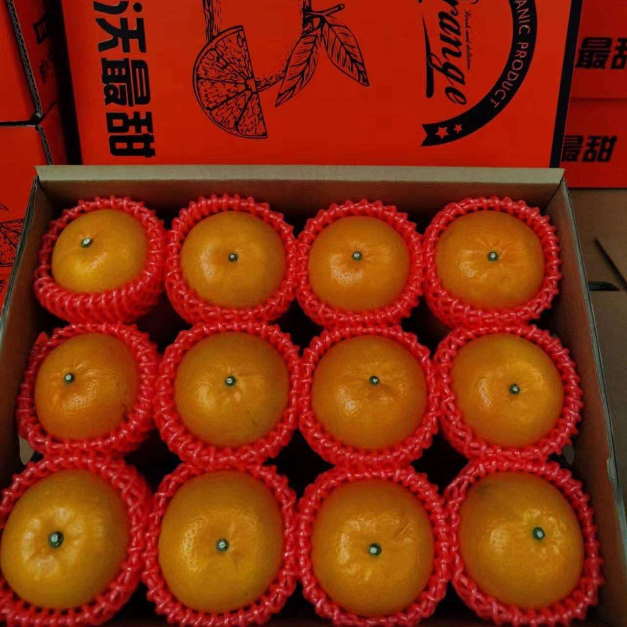 精品礼盒正宗武鸣广西沃柑柑橘便宜当季水果8斤新鲜采摘孕妇水果